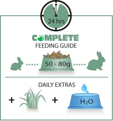 Versele-laga Vl Crock Complete Chinchilla & Degu Treat Herbs 50g, Transparent