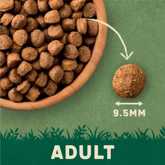 Harringtons Complete Dry Adult Dog Food Lamb & Rice 15 kg - Made with All Natural Ingredients