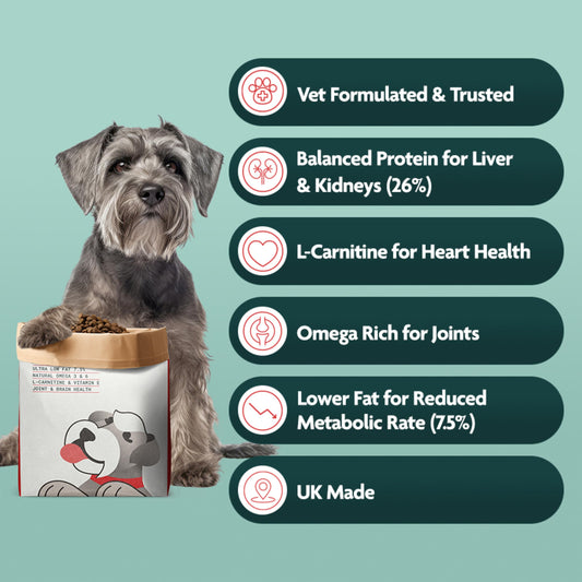 OMNI Vet Formulated Senior Dry Dog Food 2kg | Protein Rich Natural Ingredients Biscuits | Plant Powered Kibble Backed by Vets | Supported By Science, Planet Friendly and Made in UK