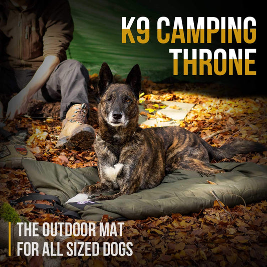 OneTigris Dog Bed Travel Large, Portable Dog Bed Camping for Washable Durable Oxford Portable Sleeping Mats for Car Crate Sofa also For Indoor Outdoor Camping Travel Green (M)