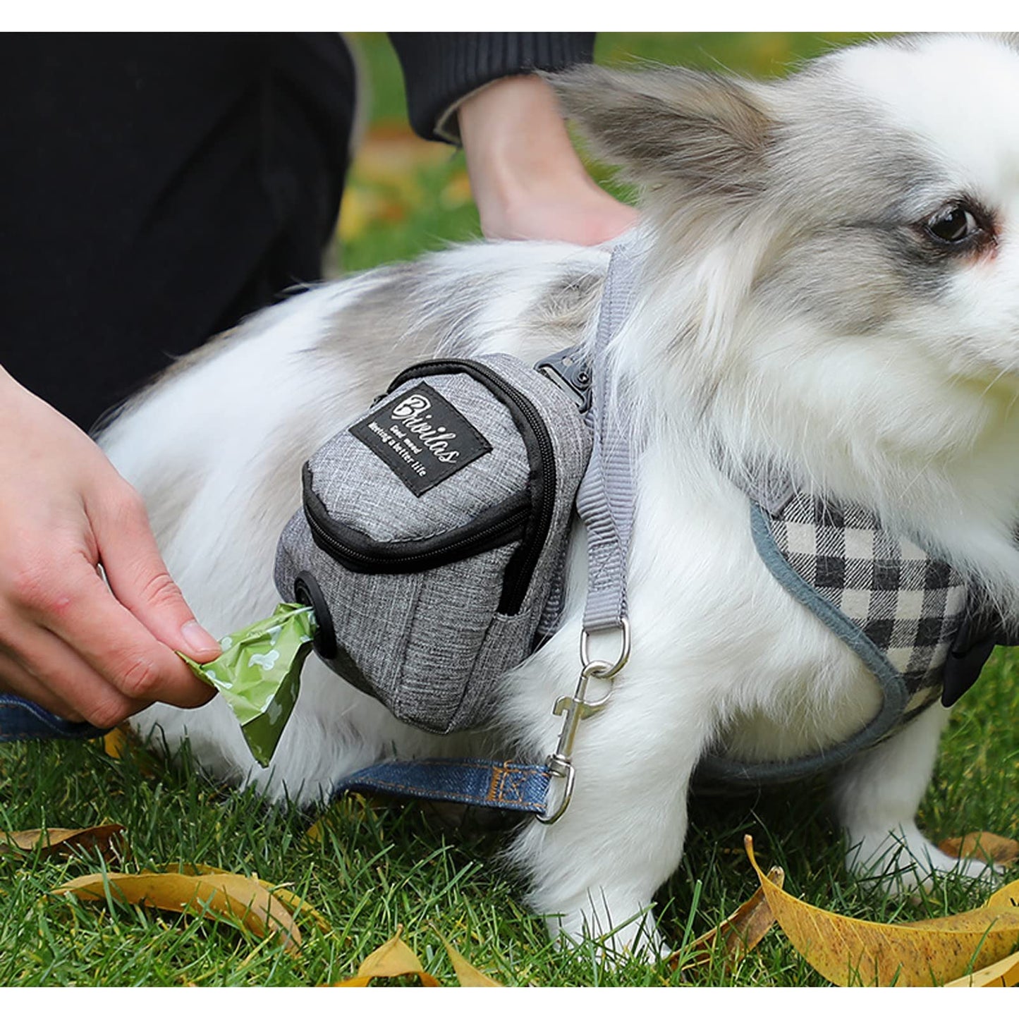 FuninCrea Dog Treat Pouch Bag, Dog Treat Bag with Built-in Poop Bag Dispenser Dog Training Treat Pouch for Walking Oxford Cloth Dog Training Bag for Travel Outdoor Training (Grey)