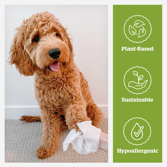 Pogi’s Dog Wipes Travel Pack – Plant-Based, Hypoallergenic Wipes for Dogs and Puppies – Fragrance Free, 120-Count