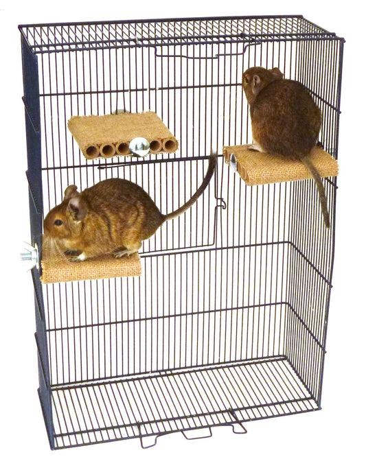 Degu Shelf - Three Pack